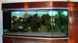 Aquarium Becken 1888