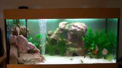 Aquarium Gauchel Becken