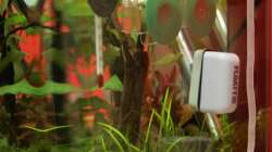 Aquarium Dennerle Nano Cube 20