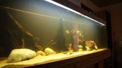 Durch die schwache Beleuchtung gibts auch für Fotos wenig Licht...