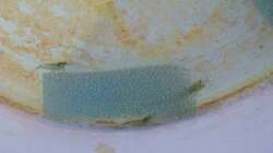 direkt nach der Ankunft