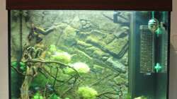 Aquarium Japangarten Shing Ping