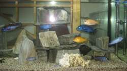 mit Blitz fotografiert