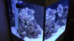 Aquarium Midi-Cube Meerwasser