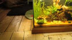 Aquarium Raumtrenner