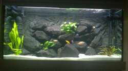 So sieht es aktuell aus. Das Licht kommt heller rüber, als es eigentlich ist.