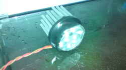 LED Modul 4x2W Neutralweiß...