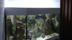 Dekoration im Aquarium Delta Rock