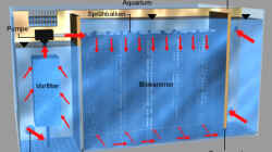 Funktionsweise des 3-Kammern Biofilter hinter der Rückwand
