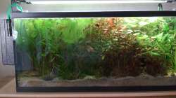 Aquarium 90L Sonnensturm