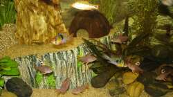 Gruppenbild mit 2x SBB - 07.2011