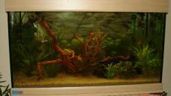 Frontansicht - Mai 2011