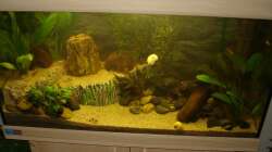 Ansicht von oben - 07.2011