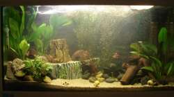 Frontansicht - 07.2011