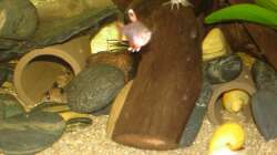 Höhlenbesetzer ;) - 07.2011