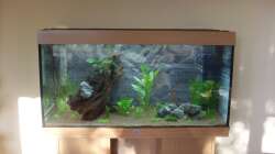 01.05.2011 (Einrichtung)