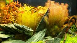 Aquarium Meine Ruhezone