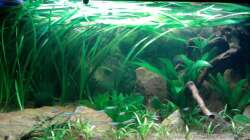 Das Einrichtungsbeispiel muss... mind. 15 Bildunterschriften enthalten.