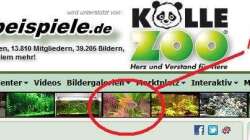 Technik im Aquarium Red Stones