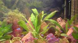 Das Einrichtungsbeispiel muss... mind. 15 Bildunterschriften enthalten.