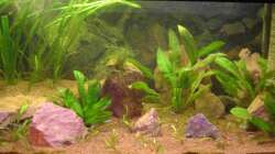 Das Einrichtungsbeispiel muss... mind. 15 Bildunterschriften enthalten.