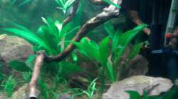 Das Einrichtungsbeispiel muss... mind. 15 Bildunterschriften enthalten.