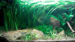 Das Einrichtungsbeispiel muss... mind. 15 Bildunterschriften enthalten.