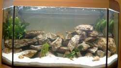 Becken mit reduzierter Beleuchtung