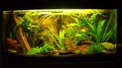 paar Tage nach einrichten