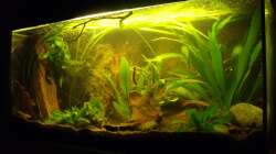 1ster Tag nach einrichtung 09.06.2011