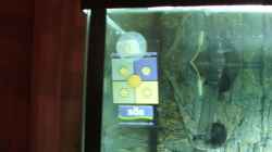 Technik im Aquarium Becken 2007