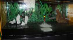 17.06.11 Wasser marsch