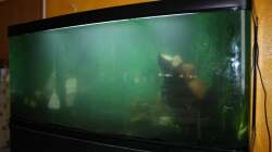 Das Wasser ist noch trüb