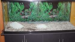 Einbringen des Grundes