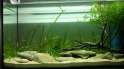 10_2012 Neueinrichtung