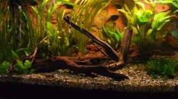 Columbien im Abendrot? :)