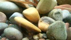 Na, wer ist Erster? - 26.07.2011