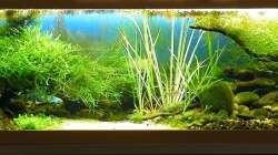 Gesamtansicht / HB - 25.10.2011