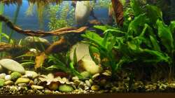 Detailansicht 4 - 02.07.2011