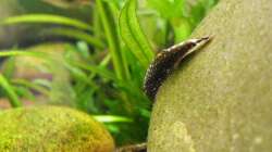 Ach, ich mach mich vom Acker... 24.08.2011