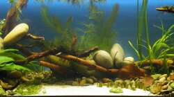 Detailansicht 2 - 02.07.2011