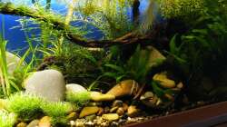 Rechte Seite - 11.08.2011