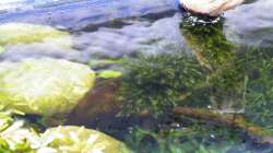 Blick von oben - 11.08.2011