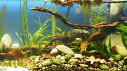 Detailansicht 3 - 02.07.2011