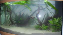Aquarium Juwel Vision 180