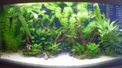 heute kam eine schwarze Folie als Rückwand dran..