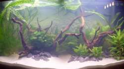 Aquarium Juwel Vision 180