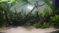 Aquarium Juwel Vision 180