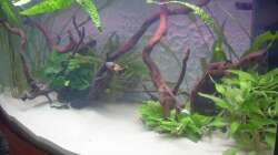 Aquarium Juwel Vision 180