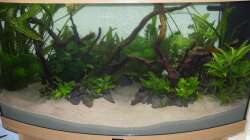 Aquarium Juwel Vision 180